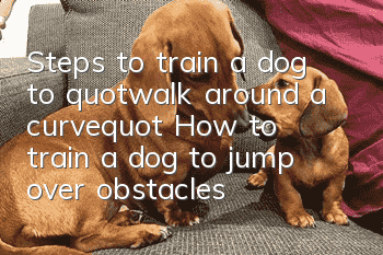 Steps to train a dog to "walk around a curve" How to train a dog to jump over obstacles