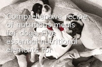 Comprehensive recipe of nutritious meals for dogs. Five essential nutritional elements for dogs.