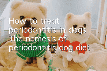 How to treat periodontitis in dogs? The nemesis of periodontitis dog diet