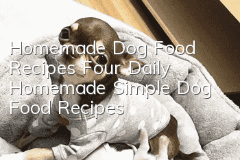 Homemade Dog Food Recipes Four Daily Homemade Simple Dog Food Recipes