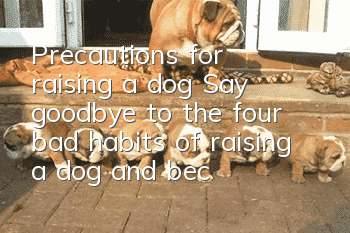 Precautions for raising a dog: Say goodbye to the four bad habits of raising a dog and become a smart owner