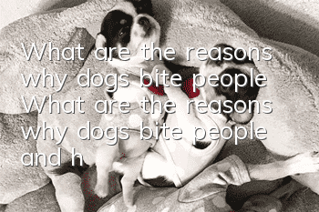 What are the reasons why dogs bite people? What are the reasons why dogs bite people and how to solve them.
