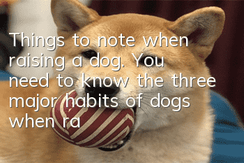 Things to note when raising a dog. You need to know the three major habits of dogs when raising a dog.