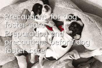 Precautions for dog foster care Preparation and precautions before dog foster care