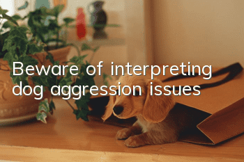 Beware of interpreting dog aggression issues