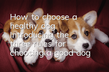 How to choose a healthy dog ​​Introducing the three rules for choosing a good dog