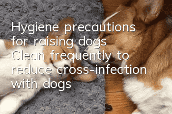Hygiene precautions for raising dogs: Clean frequently to reduce cross-infection with dogs