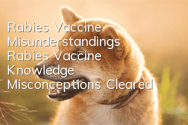 Rabies Vaccine Misunderstandings Rabies Vaccine Knowledge Misconceptions Cleared