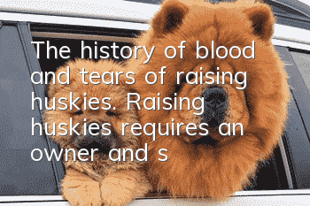 The history of blood and tears of raising huskies. Raising huskies requires an owner and sufficient mental preparation.