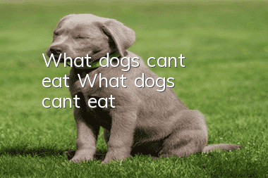 What dogs can't eat What dogs can't eat