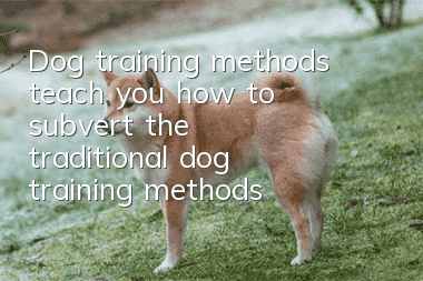 Dog training methods teach you how to subvert the traditional dog training methods