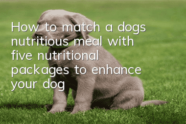 How to match a dog’s nutritious meal with five nutritional packages to enhance your dog’s physical fitness