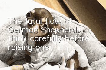 The fatal flaw of German Shepherds: think carefully before raising one