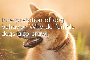 Interpretation of dog behavior Why do female dogs also crawl?