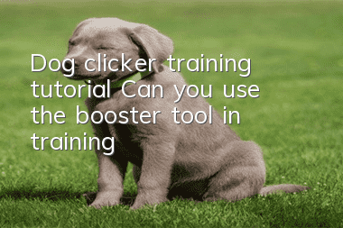Dog clicker training tutorial: Can you use the booster tool in training?