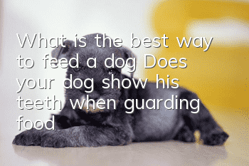 What is the best way to feed a dog? Does your dog show his teeth when guarding food?