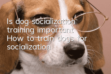 Is dog socialization training important? How to train dogs for socialization