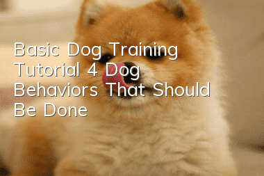 Basic Dog Training Tutorial 4 Dog Behaviors That Should Be Done