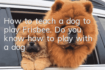 How to teach a dog to play Frisbee. Do you know how to play with a dog?