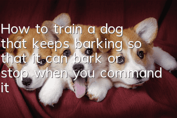 How to train a dog that keeps barking so that it can bark or stop when you command it?