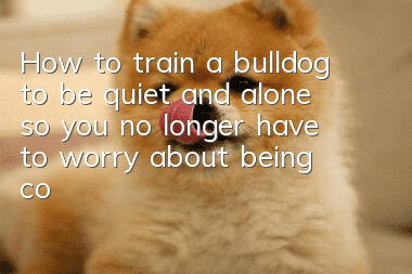 How to train a bulldog to be quiet and alone so you no longer have to worry about being complained when you go out