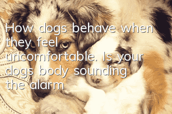 How dogs behave when they feel uncomfortable. Is your dog’s body sounding the alarm?