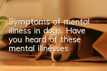 Symptoms of mental illness in dogs. Have you heard of these mental illnesses?