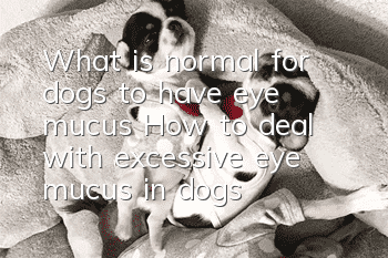 What is normal for dogs to have eye mucus? How to deal with excessive eye mucus in dogs