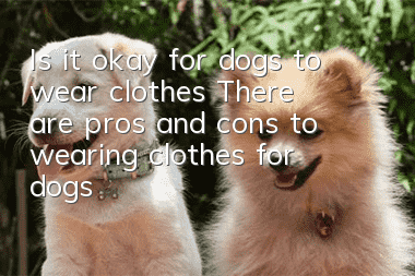 Is it okay for dogs to wear clothes? There are pros and cons to wearing clothes for dogs
