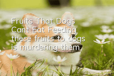 Fruits That Dogs Can’t Eat Feeding these fruits to dogs is murdering them!