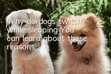 Why do dogs twitch while sleeping? You can learn about these reasons