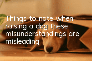 Things to note when raising a dog: these misunderstandings are misleading