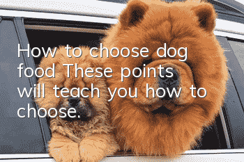 How to choose dog food? These points will teach you how to choose.