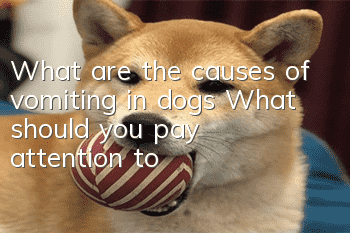 What are the causes of vomiting in dogs? What should you pay attention to?