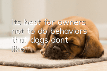 It’s best for owners not to do behaviors that dogs don’t like.
