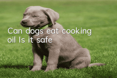 Can dogs eat cooking oil? Is it safe?