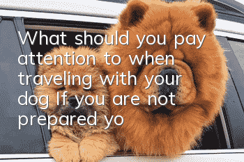 What should you pay attention to when traveling with your dog? If you are not prepared, you will be at a disadvantage