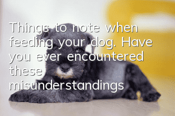 Things to note when feeding your dog. Have you ever encountered these misunderstandings?