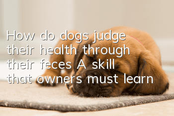 How do dogs judge their health through their feces? A skill that owners must learn