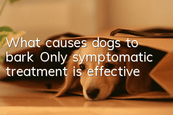What causes dogs to bark? Only symptomatic treatment is effective