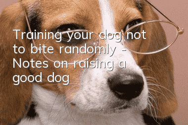 Training your dog not to bite randomly - Notes on raising a good dog