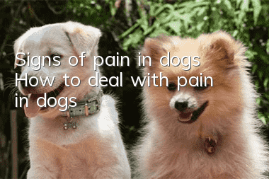 Signs of pain in dogs How to deal with pain in dogs
