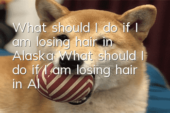 What should I do if I am losing hair in Alaska? What should I do if I am losing hair in Alaska?
