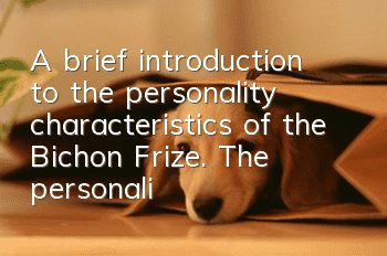 A brief introduction to the personality characteristics of the Bichon Frize. The personality advantages and disadvantages of the Bichon Frize.