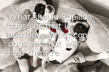 What should Papillon dogs eat that is nutritious? What can dogs eat that will help them replenish nutrients quickly?