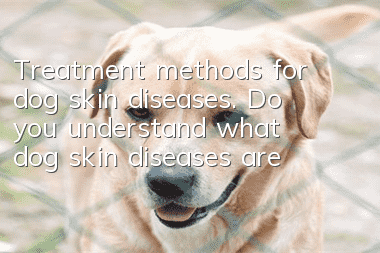 Treatment methods for dog skin diseases. Do you understand what dog skin diseases are?