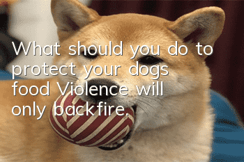 What should you do to protect your dog’s food? Violence will only backfire.