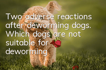 Two adverse reactions after deworming dogs. Which dogs are not suitable for deworming?