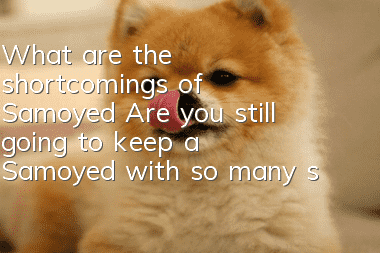What are the shortcomings of Samoyed? Are you still going to keep a Samoyed with so many shortcomings?