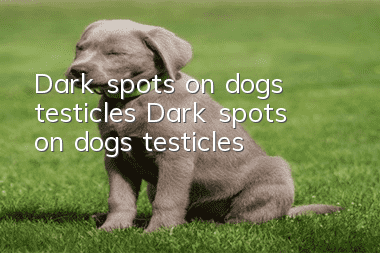 Dark spots on dog’s testicles Dark spots on dog’s testicles